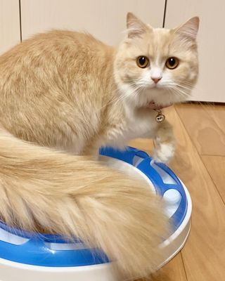 Photo by melody_mew2