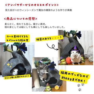Photo by allforwan_smallanimal