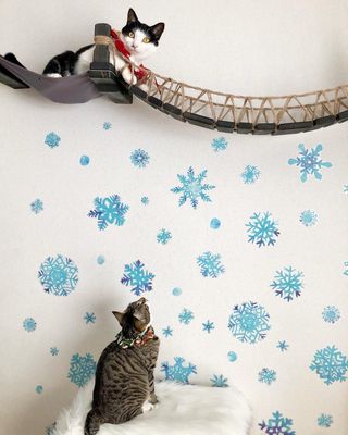 Photo by miffy_niko