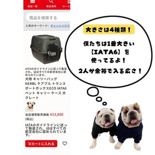 Photo by bulldog.ippei.genpachi