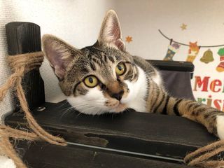 Photo by miffy_niko