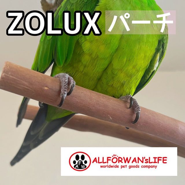 Photo by lucas_dusky_conure