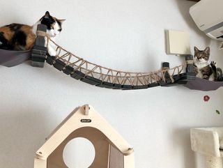 Photo by miffy_niko