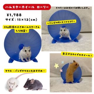 Photo by allforwan_smallanimal
