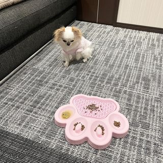 Photo by amu0419amu0419