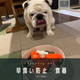 Photo by bulldog.ippei.genpachi