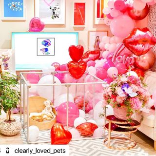 Photo by allforwan_shop_official