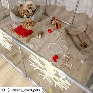 Photo by allforwan_shop_official