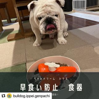 Photo by allforwan_shop_official