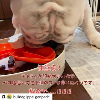 Photo by allforwan_shop_official