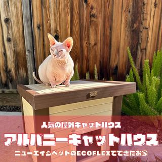 Photo by allforwan_shop_official