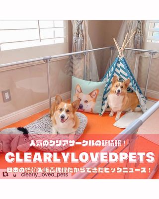 Photo by allforwan_shop_official
