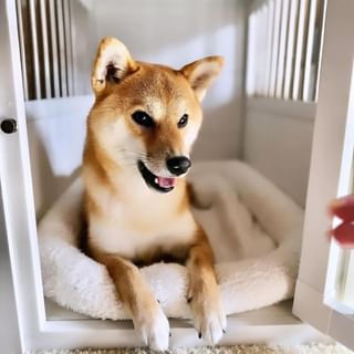 Photo by allforwan_shop_official