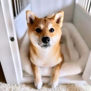 Photo by allforwan_shop_official