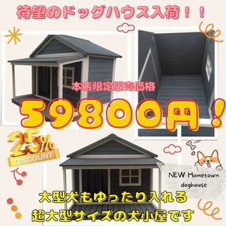 Photo by allforwan_shop_official