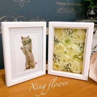 Photo by xing_flower_formula