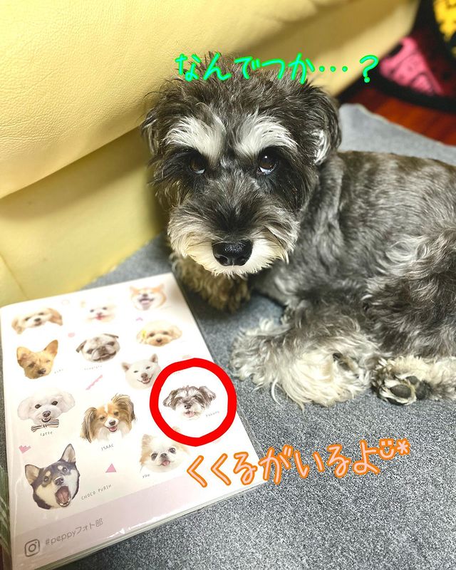 peppyフォト部のグッズ第3弾 マチ広わんにゃんエコバッグ 犬 猫 いぬ ねこ かわいい エコバッグ インスタ ペット ペピイ PEPPY 贅沢屋の