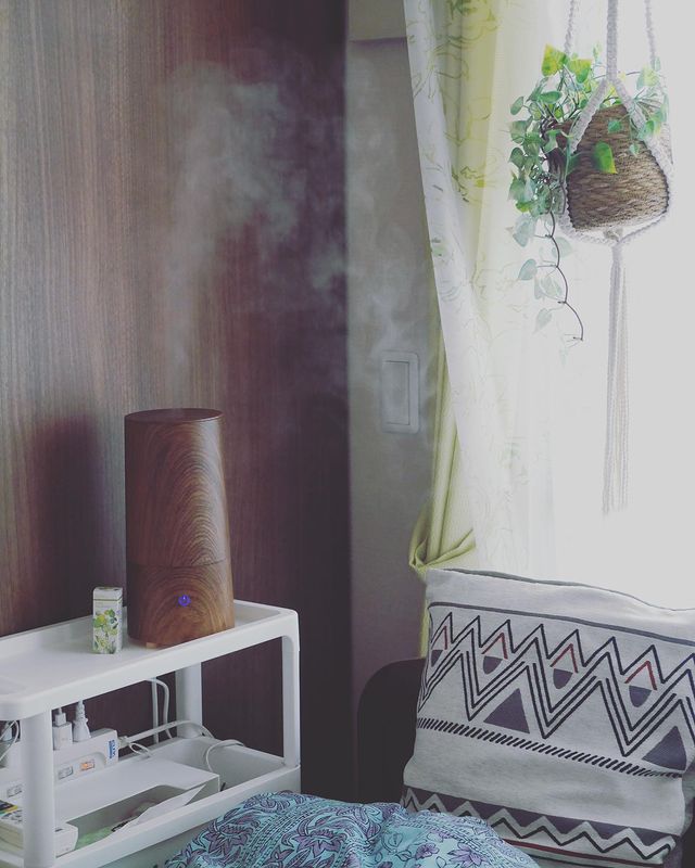Photo by pokepokemetabo1021