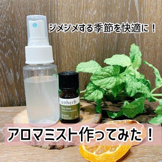 ハーブ専門店「enherb」公式WEBサイト ペパーミント ...