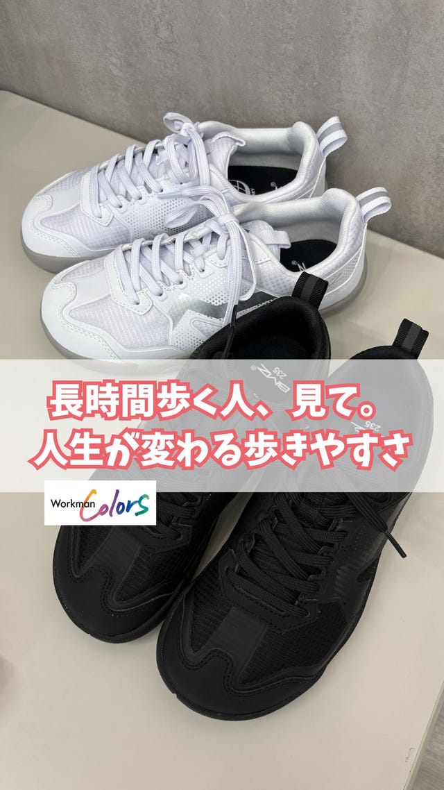 WZ-6 ウィンドコアアイス×ヒーターペルチェベストプロ3 | ワークマン