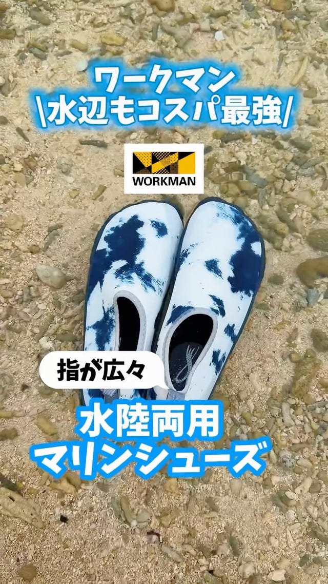 WZ-6 ウィンドコアアイス×ヒーターペルチェベストプロ3 | ワークマン