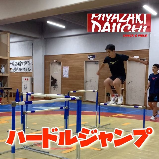NISHI(ニシ・スポーツ) フレキハードル 一般・高校用 2台セット 中古 