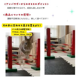Photo by allforwan_smallanimal