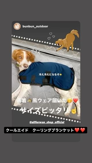 Photo by allforwan_shop_official