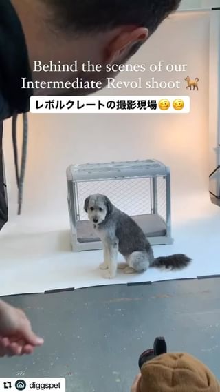 Photo by allforwan_shop_official
