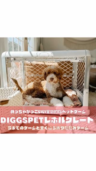 Photo by allforwan_shop_official