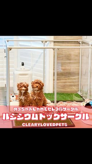 Photo by allforwan_shop_official