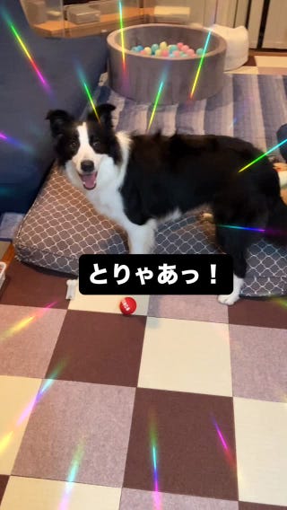Photo by masumi.t_54