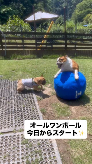 Photo by wandarburu