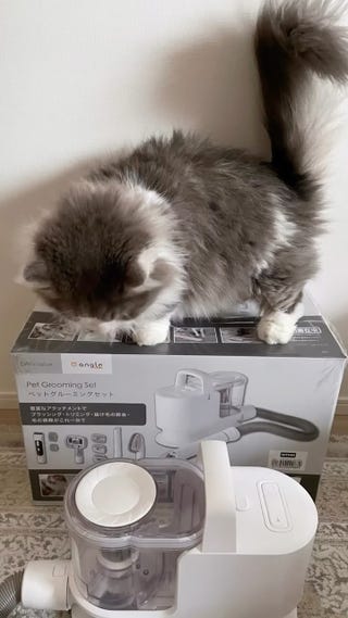 ペットグルーミング(NT01) | ニトリネット【公式】 家具・インテリア通販