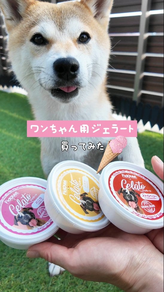 Photo by shiba_okoto