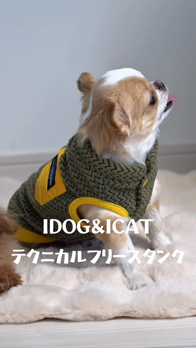 犬服・ドッグウェア・ペットグッズ公式通販サイト | IDOG&ICAT