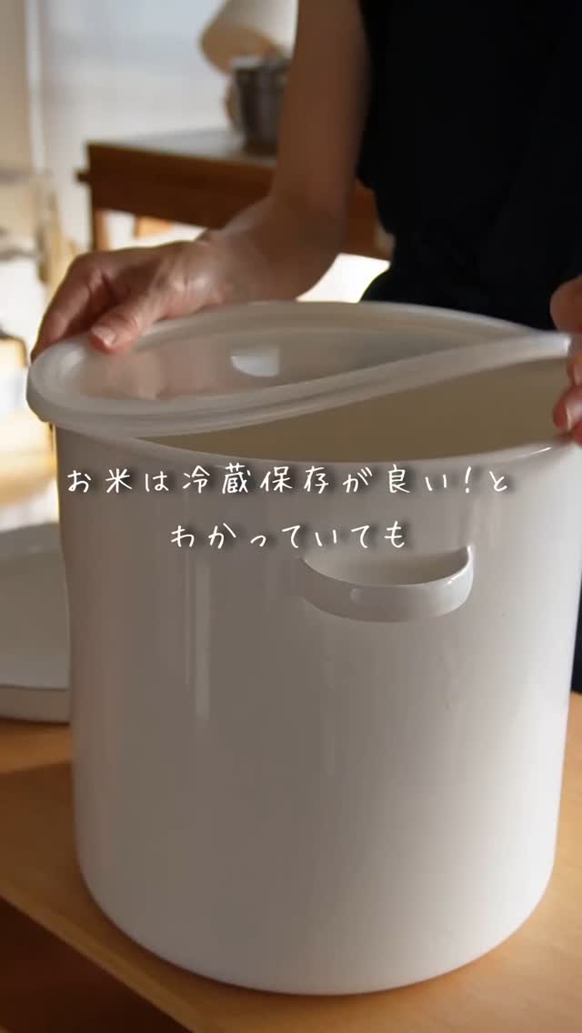桐製冷蔵庫米びつ 1kg | itomani（いとまに）｜日常の「暇（いとま