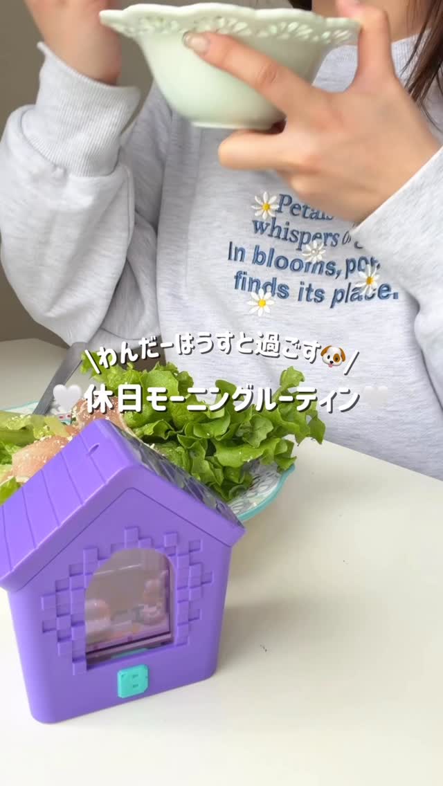 特別販売ポイント20倍】わんだーはうす｜わんだーはうす｜限定品や新作