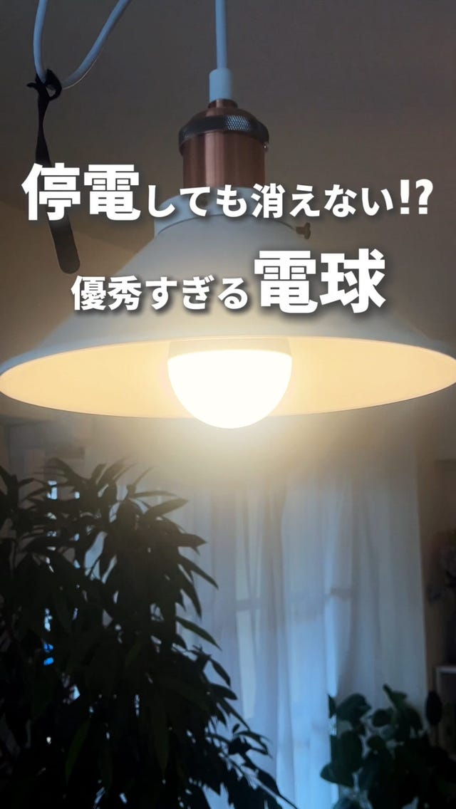 ツタの照明 ライト 蔦 和風ライト | 屋外照明なら「株式会社タカショーデジテック」