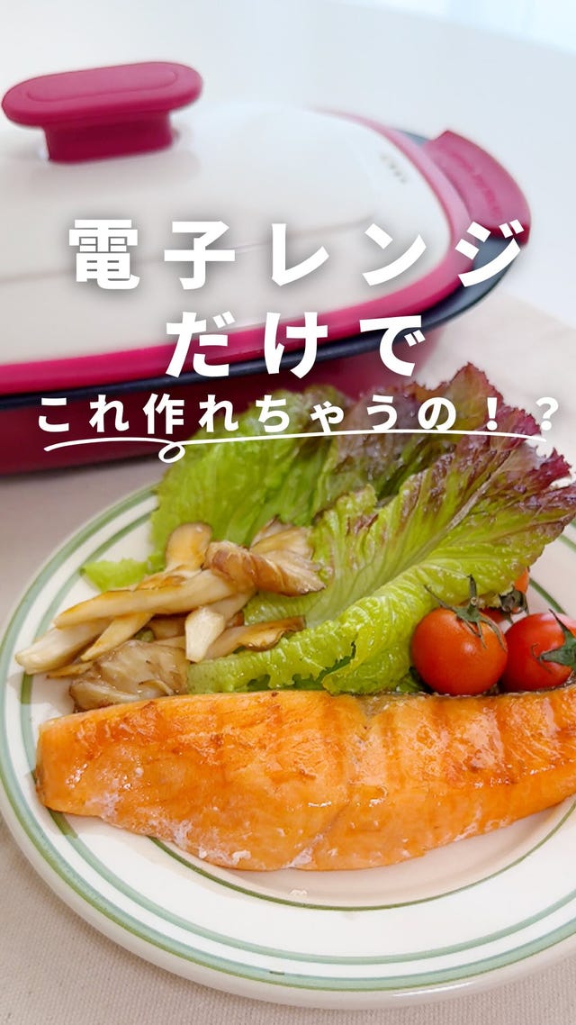 TO-PLAN レンジdeビストロ 深型マルチ 両面焼 TO-PLAN - QVC.jp