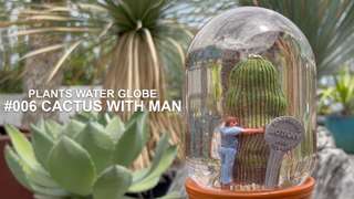 DULTON ONLINE SHOP | PLANTS WATER GLOBE CACTUS WITH MAN(#006 