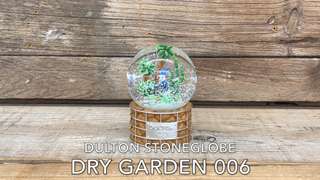 DULTON ONLINE SHOP | DULTON STONEGLOBE DRY GARDEN 006(006